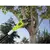 Садовый сучкорез электро Ryobi RPP750S 750W
