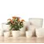 ქოთანი კერამიკული ყვავილის Scheurich 920/37 Cover pot creme