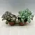 Фиттония Fittonia ferschaffeltii 508/12 5 см