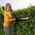 Hedgecutter cordless Al-Ko HT1845 BO Flex 18V