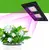 Светильник для растений CF-UT02 200W IP67