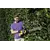 Hedgecutter cordless Karcher HGE 36-60 36V