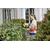 Hedge trimmer rechargeable Karcher HGE 18-45