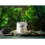 ჭიქა Ambition Adventure Wild 510 მლ