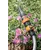 Watering nozzle GF GF80043404 18 l/min