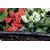 Micro sprinkler for microdrip system GF Aquila Jet 90 GF80006261 10 pcs