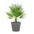 Горшок керамический цветочный Scheurich 226/30 Purista Nero 10 л
