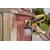 Paint sprayer Wagner Flexio W590 630W (2361538)