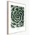 სურათი ჩარჩოში Styler Echeveria BR007 50X70 სმ