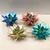 Эхеверия Echeveria agavoides Miranda Rainbow kerstmix