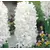 Bulb BUD HBM Hyacinthus Carnegie 14/15 3 pcs