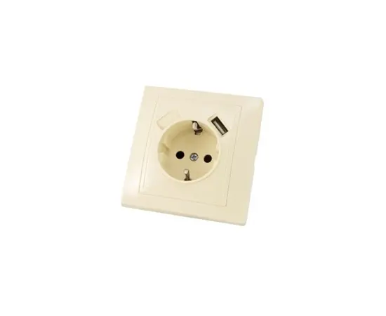 Power socket grounded + USB TDM SQ1814-0140 1 sectional ivory