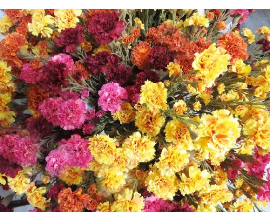 Искусственные цветы гвоздики 5 цвета