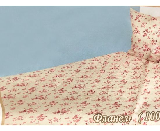 Double bedding set Yaroslav printed flannel 200x220