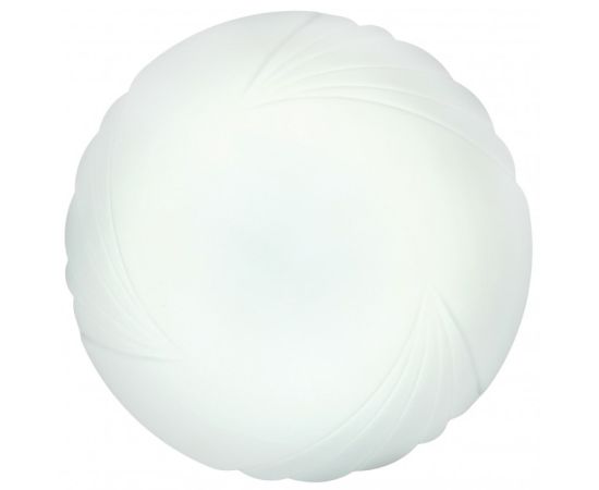 Wall-ceiling lamp Camelion LBS-0202 18W