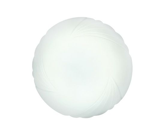 Wall-ceiling Lamp Camelion LBS-0201 12W