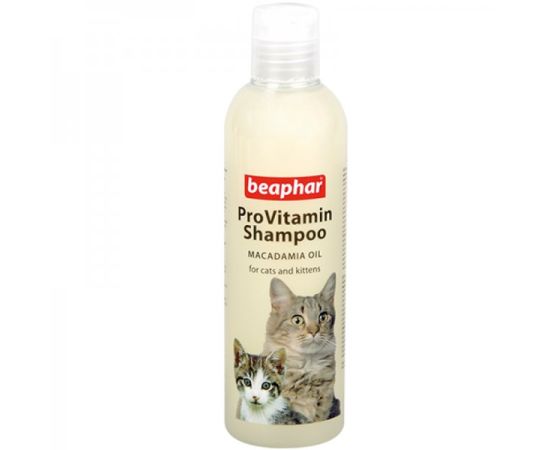 Shampoo for cats Beaphar 18285