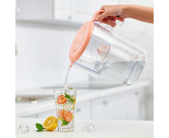 Filter-pitcher Ecosoft Dewberry Shape FMVSHAPER  3.5 l