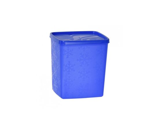 Container of plastic Plast Art 2 l