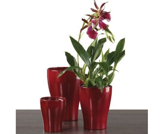 Ceramic pot for orchids Scheurich 608/13 DARK RED