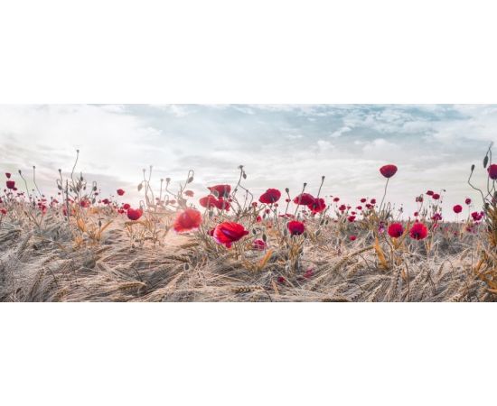 Картина на холсте Styler Poppies ST604 60X150 см