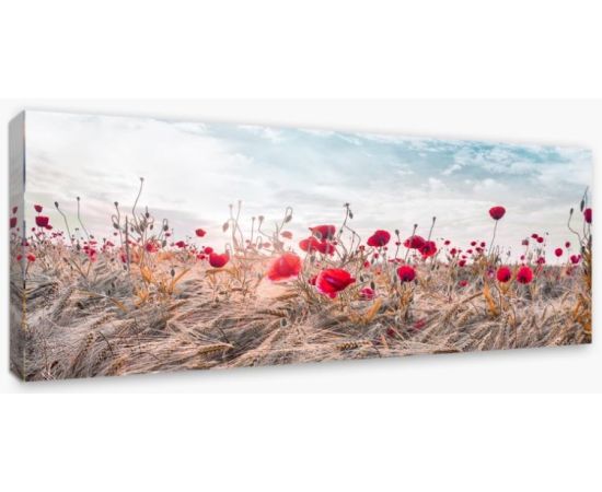 Картина на холсте Styler Poppies ST604 60X150 см