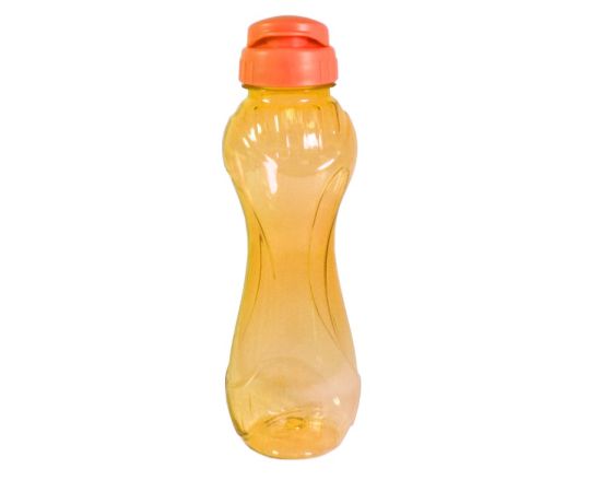 Bottle for water Lux Plastic Trend L494 650 ml