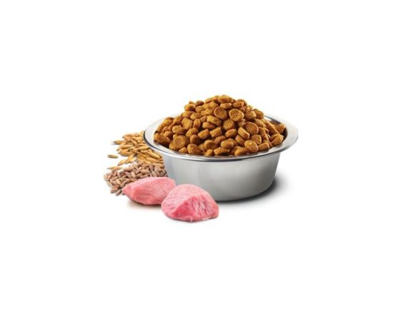 Dog food Farmina N&D Ancestral Grain Puppy Medium&Max lamb and blueberries 12 kg