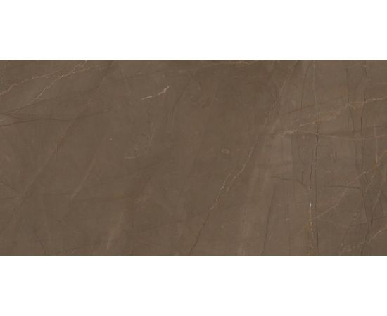 Tile Epicentr K Pulpis Brown W M 310x610 NR Glossy 1