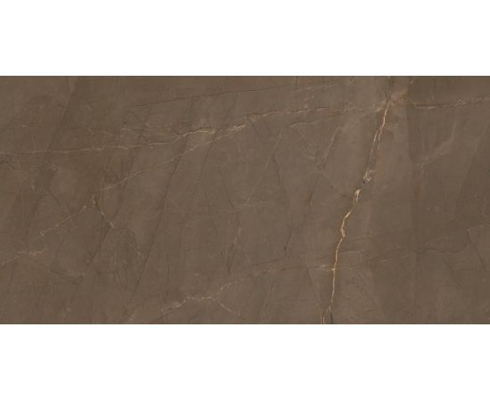 Tile Epicentr K Pulpis Brown W M 310x610 NR Glossy 1