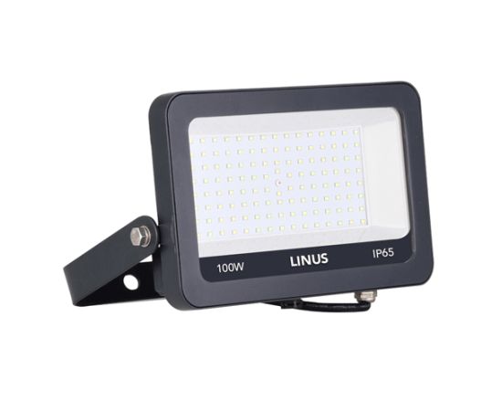 პროჟექტორი Linus LED 100w 6500k IP65 NW