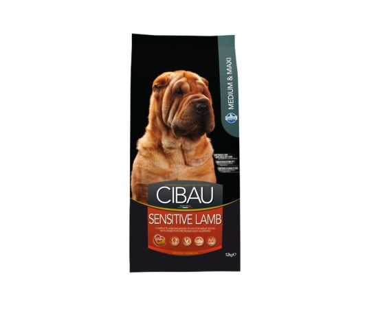 Dry food for allergic dogs Farmina Cibau with lamb medium & large breed 12kg