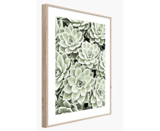 Picture in frame Styler Succulents BR009 50X70 cm