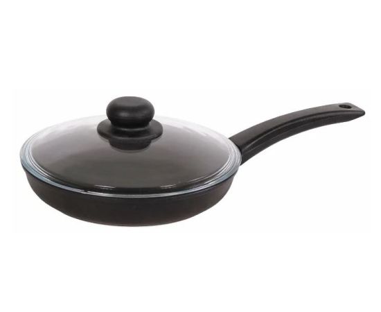 Frying pan with lid Biol 2004 PC 20 cm