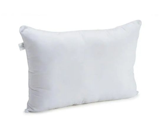 Pillow Runo 50X70 swan feather 310.53 milky