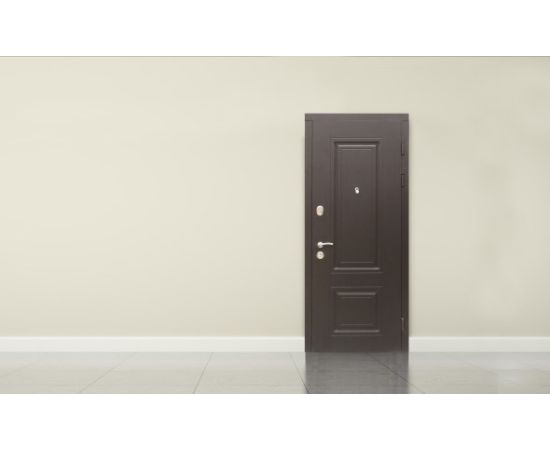 Metal doors DO-30 2200x960 right