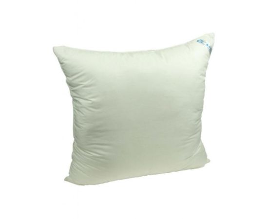 Pillow Runo 70X70 swan feathers 313.52