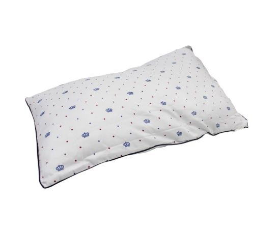Pillow 000041_619 40x70 cm