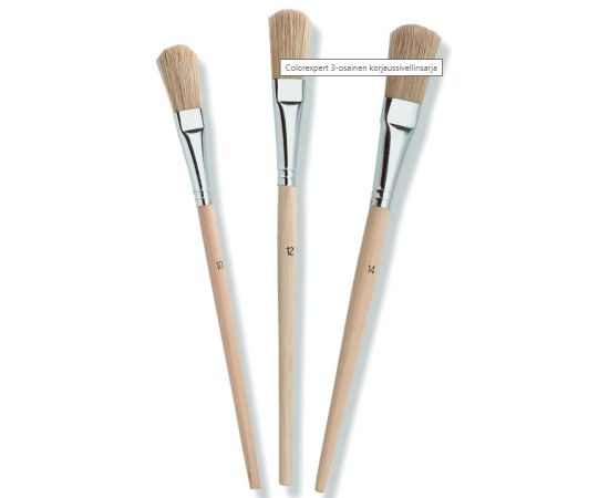 Set of universal brushes Color Expert 82610227 3 pcs