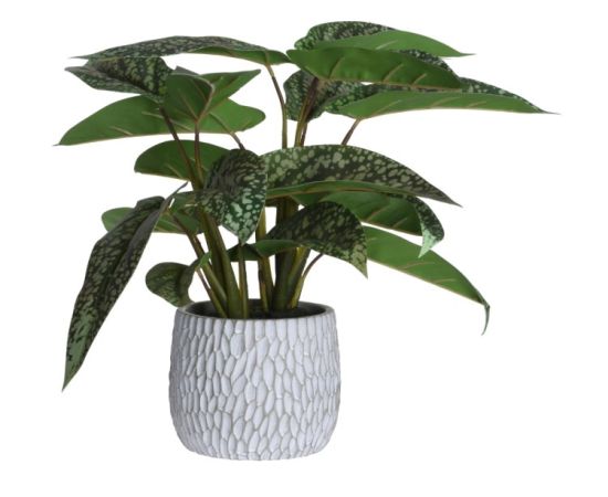 მცენარე ხელოვნური სინგონიუმ Koopman 39 სმ