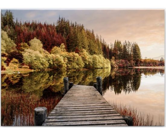 Glass picture Styler Autumn Path GL322 80X120 cm
