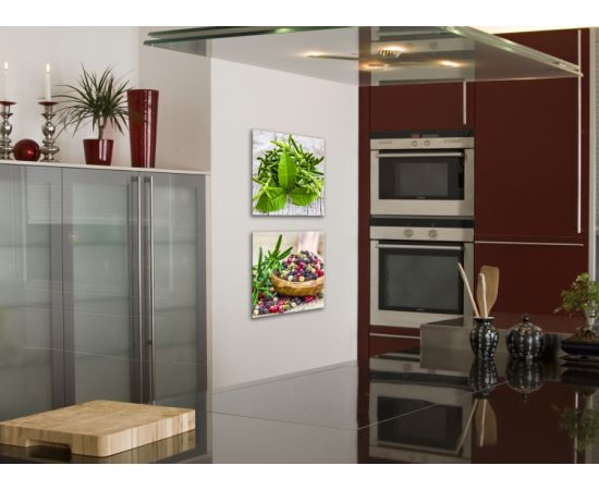 Glass picture Styler Spice 2B GL143 30X30 cm