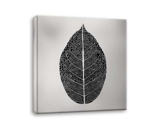 Картина на холсте Styler Silver Leaf EX520 65X65 см