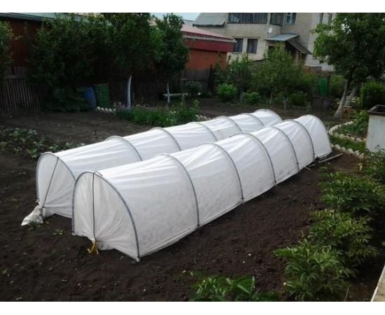 Agrofibre white 30g/m2 1.6x10 m DSG +