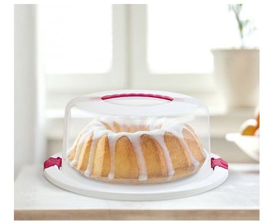 Plastic container for cake Hobby Life 02 1173