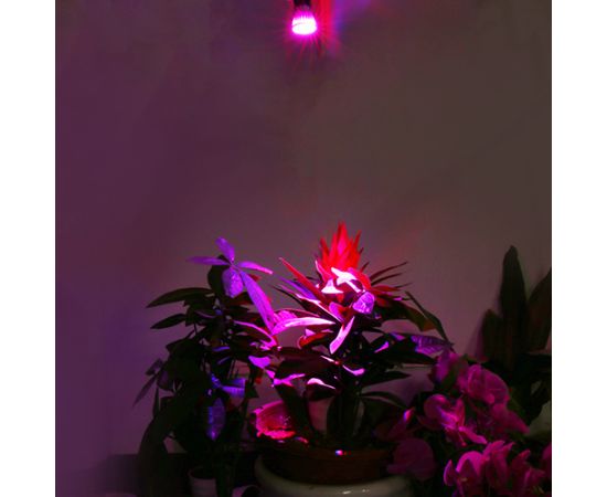 Лампа для растений SJ_10w_003 10W E27