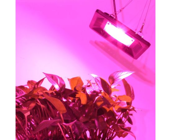 Светильник для растений CF-UT01 100W IP67