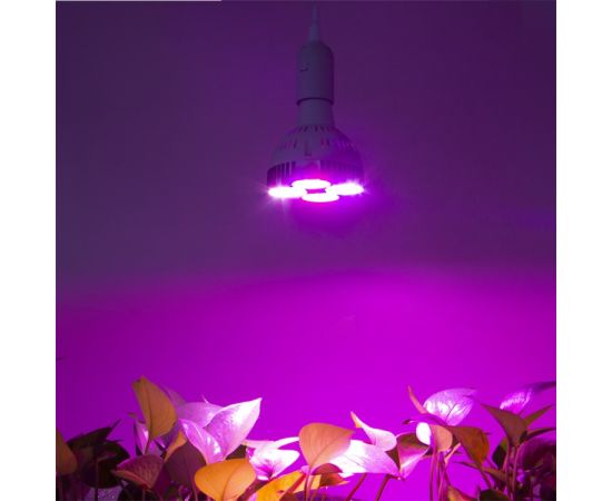 Lamp for plants CF-120 120W E27