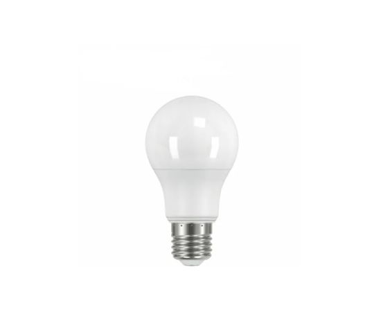 LED Lamp LEDEX 6500K 12W E27