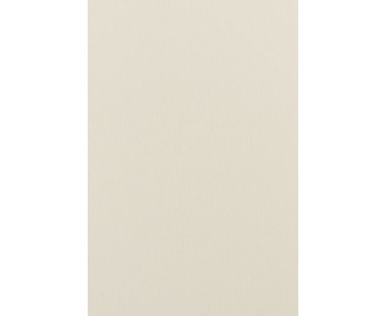 Curtain Delfa Termo Blackout SRSH-01M-7900 85(81)/170 cm white